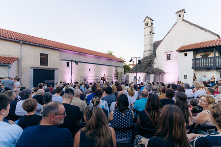 Poletni večer na Škrateljnovi domačiji - Vlado Kreslin