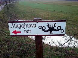 O življenju in delu dr. Bogomirja Magajne