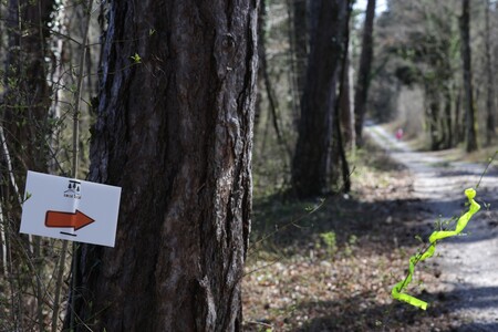 661308903_122181031076833138_716379867546066606_n